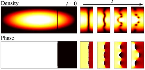 Two Dimensional Density And Phase Images Through A D Condensate