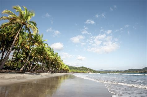 Costa Rica Urlaub An Der Karibikk Ste Buchen Meiers Weltreisen