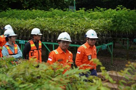 Kahmi Buktikan Pertambangan Berkelanjutan Pt Vale Di Sorowako