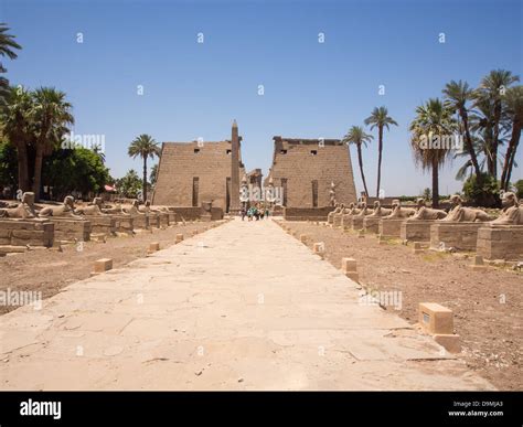 The Avenue Of Sphinx At Luxor Temple Egypt Stock Photo Alamy