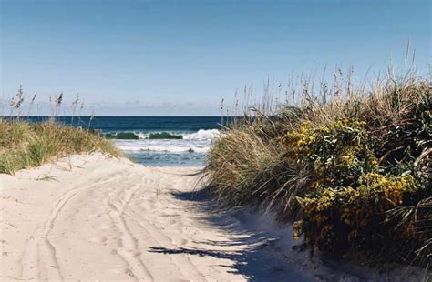 Explore Virginia Beach's False Cape State Park