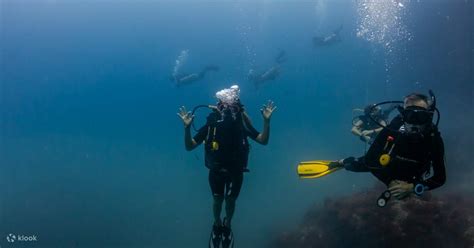 Try Scuba Diving In Koh Phangan With Padi Star Idc Resort Explore