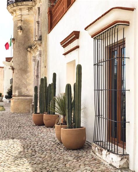 Three Large Potted Plants Sitting On The Side Of A Building