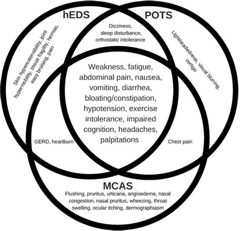 Figure 3 | The Relationship Between Hypermobile Ehlers-Danlos Syndrome ...