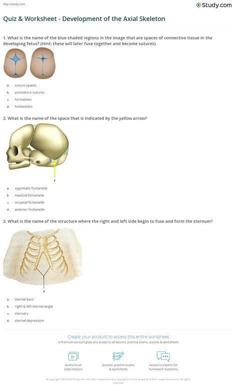 Quiz Worksheet Development Of The Axial Skeleton Study