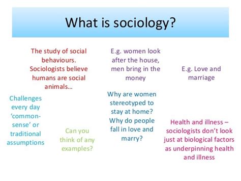 Lesson One Introduction Into Sociology