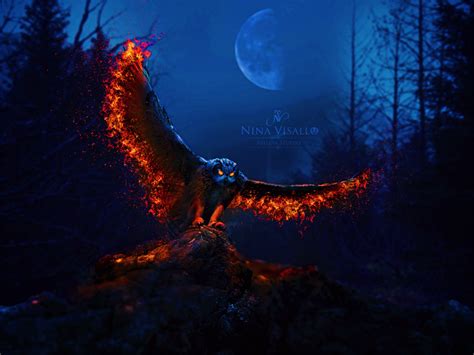 Fire Owl By Nina Visallo Deviantart Owl Spirit Animal Dandd Star Wars