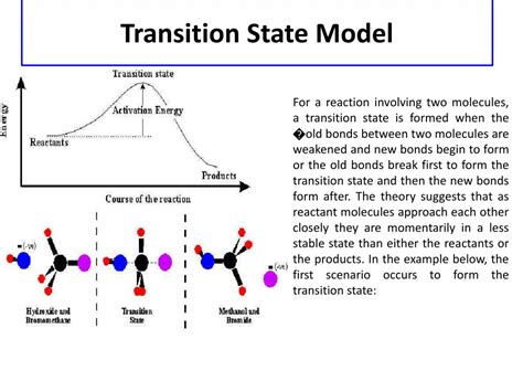 PPT - Enzymes PowerPoint Presentation, free download - ID:2187703