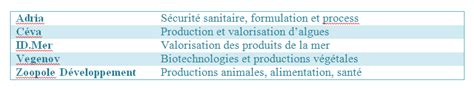 Externaliser Sa Veille Une Solution Aux Multiples Avantages Vegenov