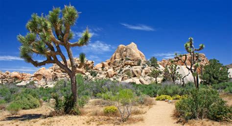 15 Most Beautiful National Parks in America | Budget Travel