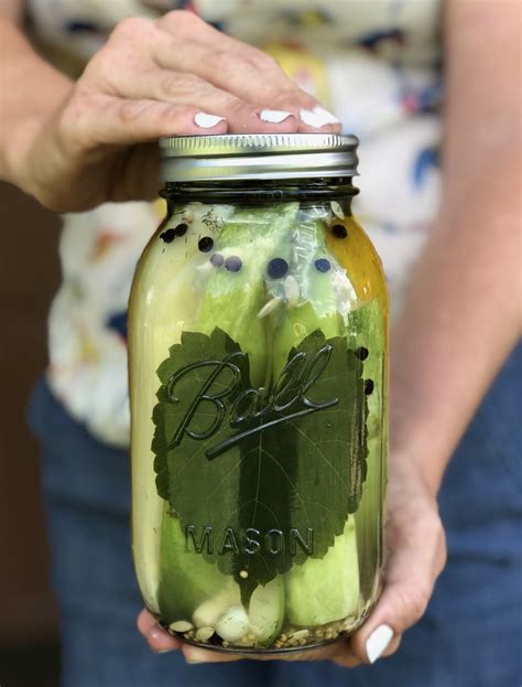 how to make fermented pickles 4