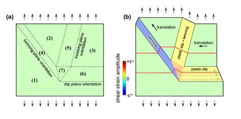 schematic sketch   pattern formation mechanism  reference