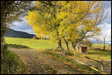 Un matí per la Cerdanya ll lloren Flickr