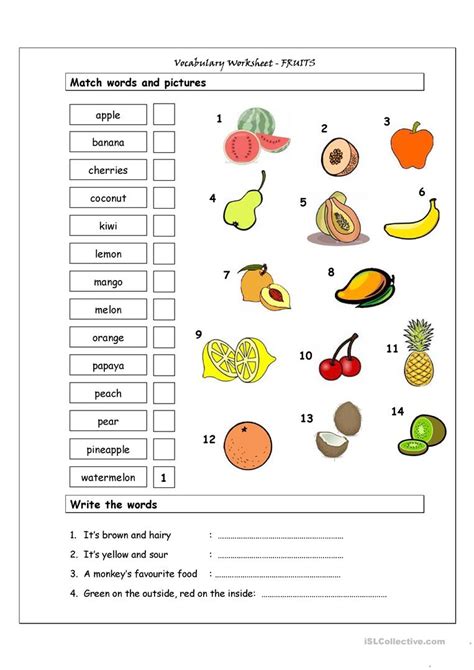 Vocabulary Matching Worksheet Fruit Worksheet Free Esl Printable Worksheets Made By Teachers