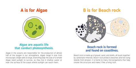 Abcs Of Oceanography Dr Chris Education