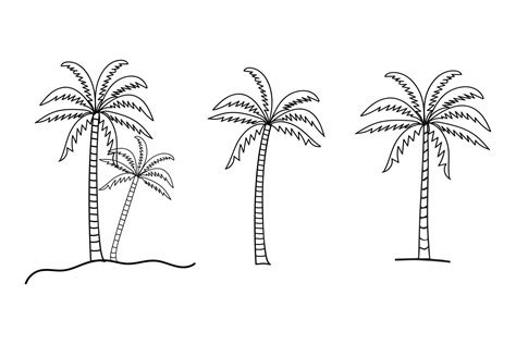 Set Of Hand Drawn Line Art Palm Trees Vector Summer Sunset Tropical