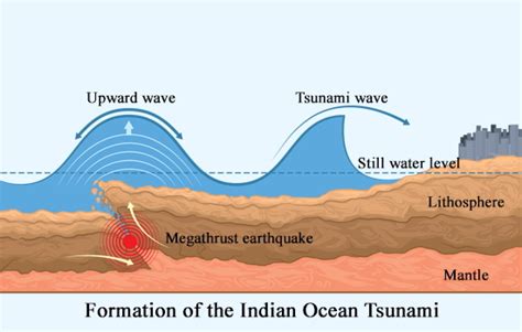 Earthquake Tsunami Diagram