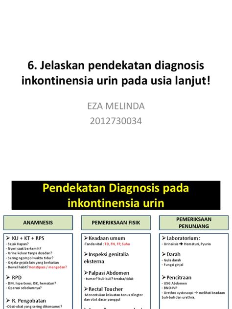 Pendekatan Diagnosis Inkontinensia Urin Pdf