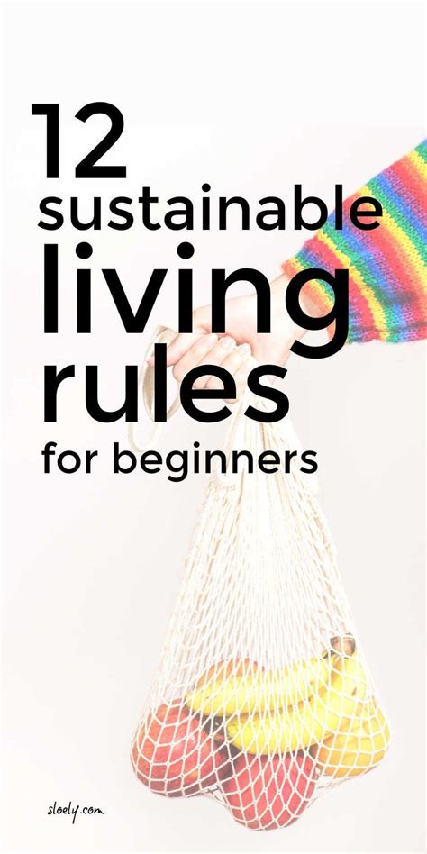 Sustainable Living Tips For Beginners In 2024 Sustainable Living