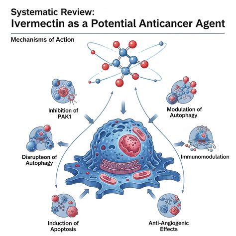 Best Ivermectin Dosage for Humans with Cancer or Different Cancer Types