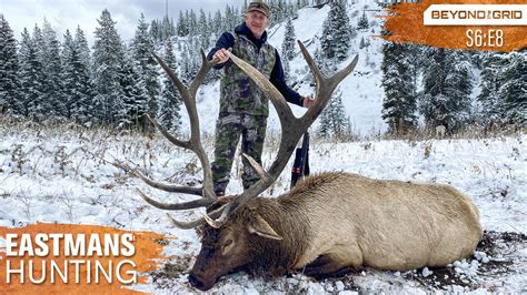 Giant Bulls On Public Land Backcountry Elk Hunt With Guy Eastman