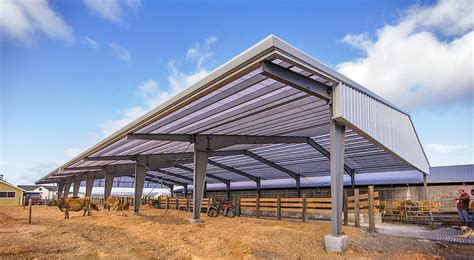 Custom Colton Brodt Dairy Clear Span Livestock Pavilion Steel Building