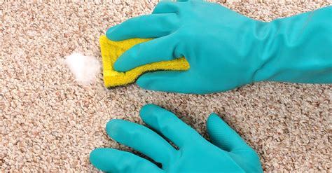 Professional Carpet Cleaner Secrets - How to Get Oil Out of Carpet