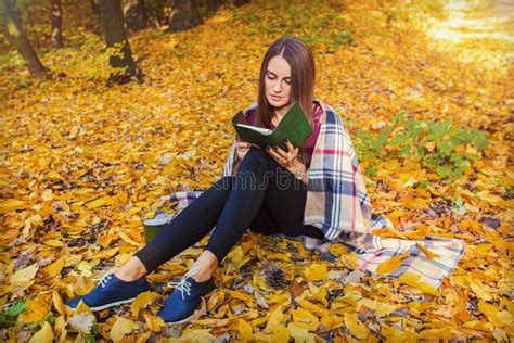 Une Femme Lisant Un Livre Dans Le Parc Dautomne Photo Stock Image Du