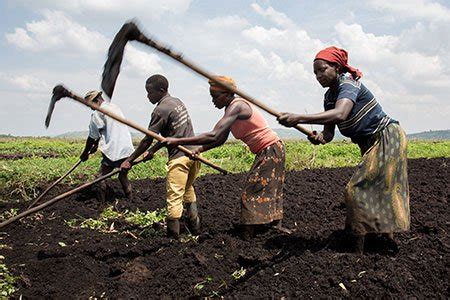 Building an Africa free from hunger and poverty - Farm to Market Alliance