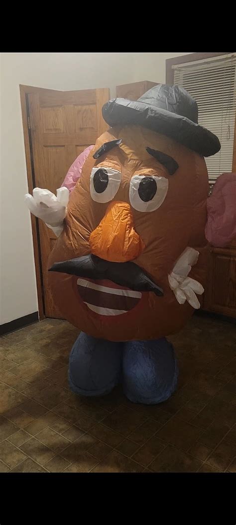 13mo Finance Spirit Halloween Toy Story Adult Mr Potato Head