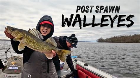 Catching Post Spawn Walleyes In Wisconsin Youtube