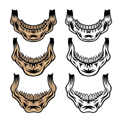 Premium Vector Vintage Retro Human Skull Jaw Isolated Illustration On A White Background