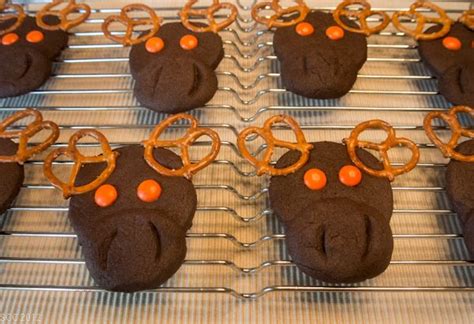 Chocolate Moose Cookies Chocolate Moose Chocolate Cookies