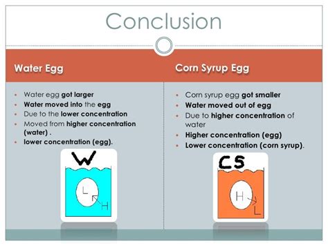 Egg Osmosis Experiment Results Measurements