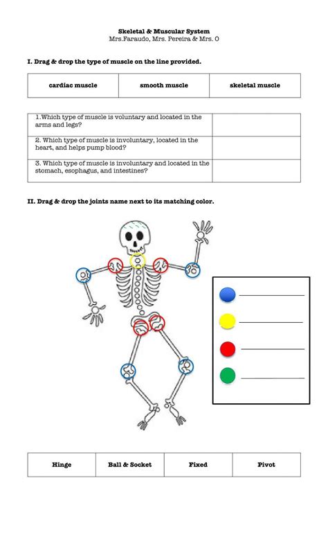 Skeletal Muscular System Worksheet Live Worksheets Worksheets Library