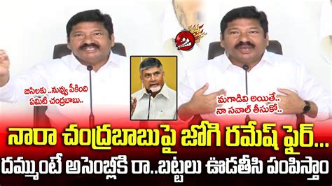 Minister For Housing Jogi Ramesh Fire On Nara Chandrababu Ysrcp Tdp