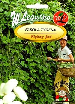 FASOLA WIELOKWIATOWA tyczna PIĘKNY JAŚ 40g W LEGUTKO