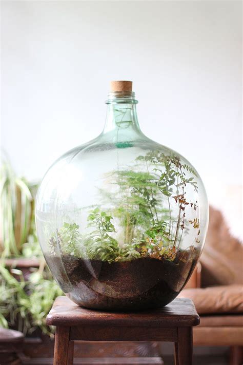 How To Build A Terrarium The Ultimate Guide Craftsmumship