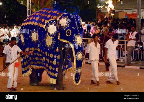 Festival Esala Perahera Kataragama Sri Lanka Asia Stock Photo Alamy