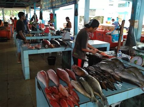 Pasokan Berkurang Harga Ikan Di Ternate Mahal Akurat