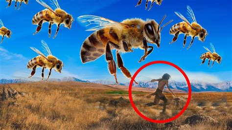 What Would Happen If Bees Disappear Youtube