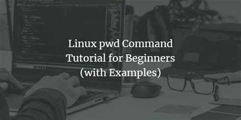 Linux Pwd Command Tutorial For Beginners With Examples