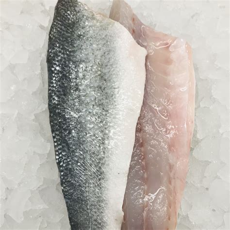 X2 Fresh Aegean Sea Bass Fillets Various Grades Sailbrand