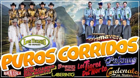 Corridos Tumbados Mejor Puros Corridos Con Banda Para Pistear