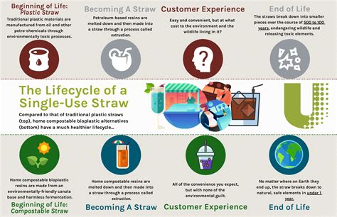 Lifecycle of Home Compostable Straw vs. Plastic Straw