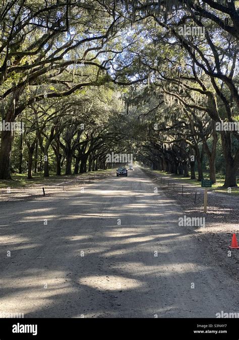 Wormsloe Historic Site Stock Photo - Alamy