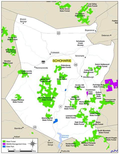 Schoharie County Map Viewer: The Ultimate Guide For 2023 - Map of Counties in Arkansas