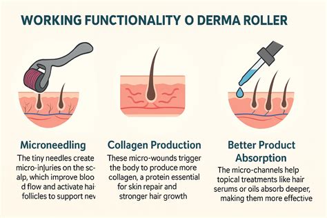 How to Use Derma Roller for Hair? Everything You Need to Know