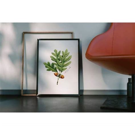 Connecticut state tree | White Oak | wanderlust gifts and home decor