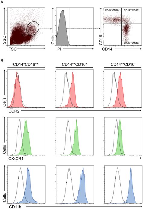 Characterization Of Monocyte Subsets By Flow Cytometry Panel A Human